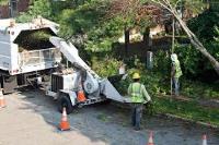 Chippers Tree Service image 10